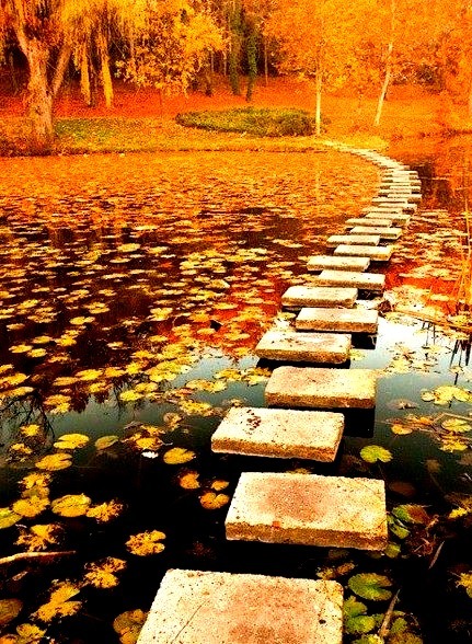 Autumn Pond, Poland 