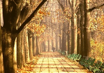 Autumn Park, Bucharest, Romania