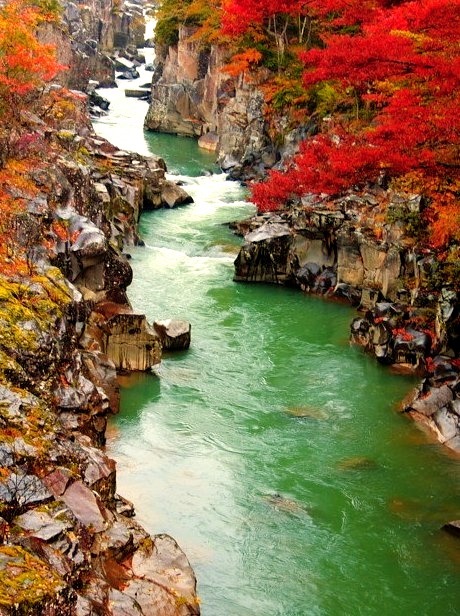 Autumn Gorge, Genbikei, Japan