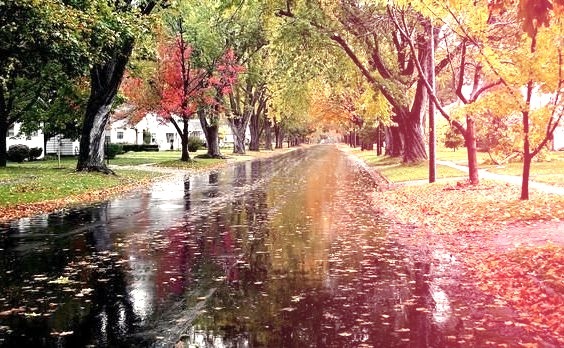 Autumn Rain, Chatsworth, Illinois