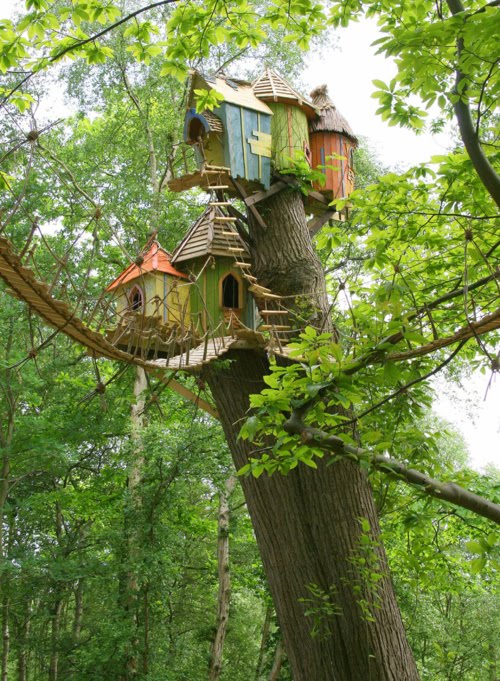Tree House, Norfolk, England